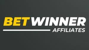 Everything You Need to Know About BetWinner APK 20