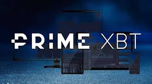 Understanding the PrimeXBT Located A Guide to the Exchange's Operations